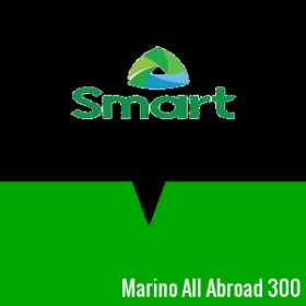 Marino All Abroad 300