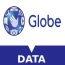 Globe GO SURF 30